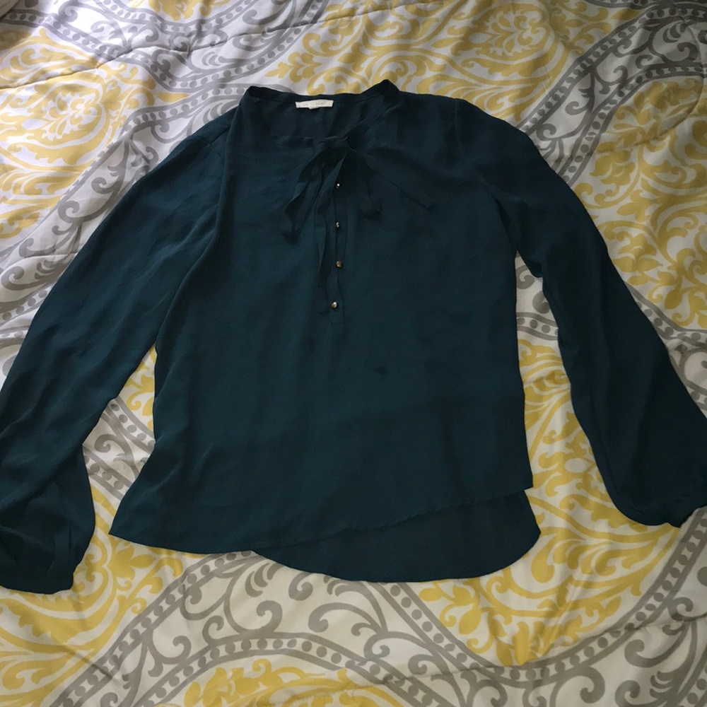 🎉🎊 5 for $20🎉🎊 women’s sheer longsleeve shirt